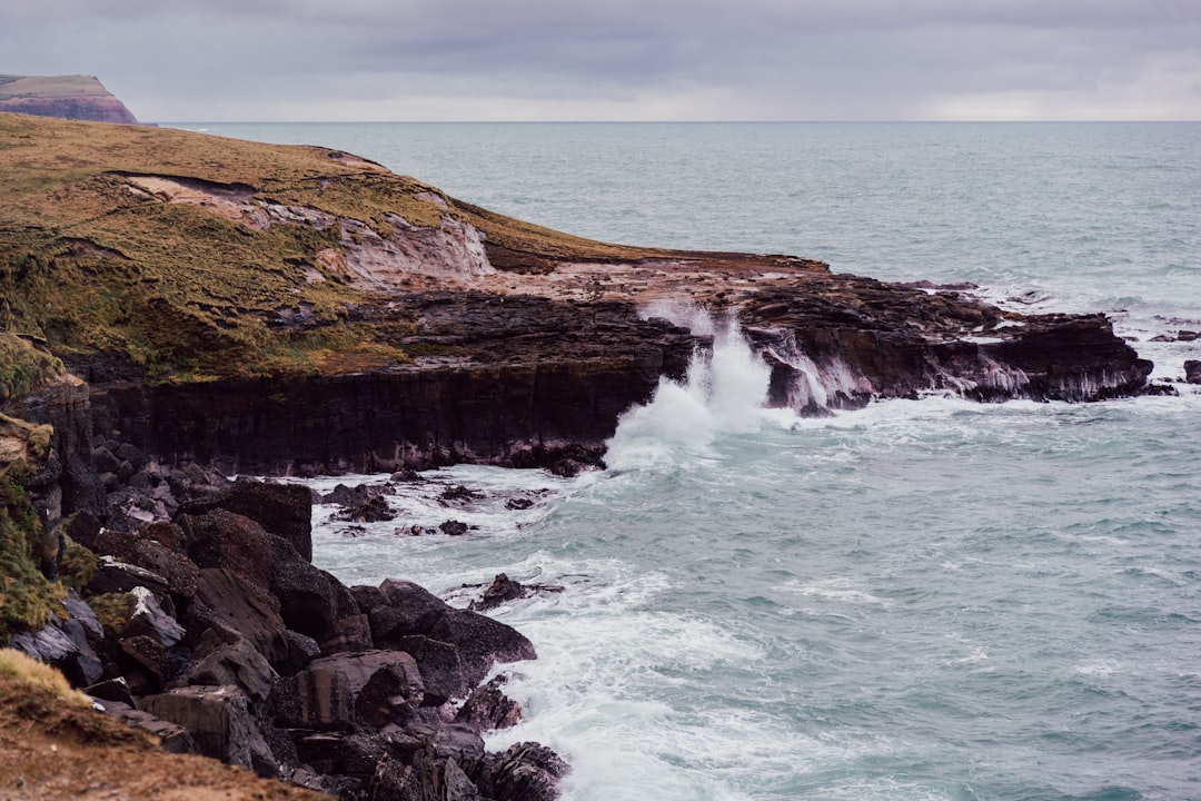 Découvrez Slope Point : le point le plus au sud de la Nouvelle-Zélande - Slope Point | Secret World Trip Planner