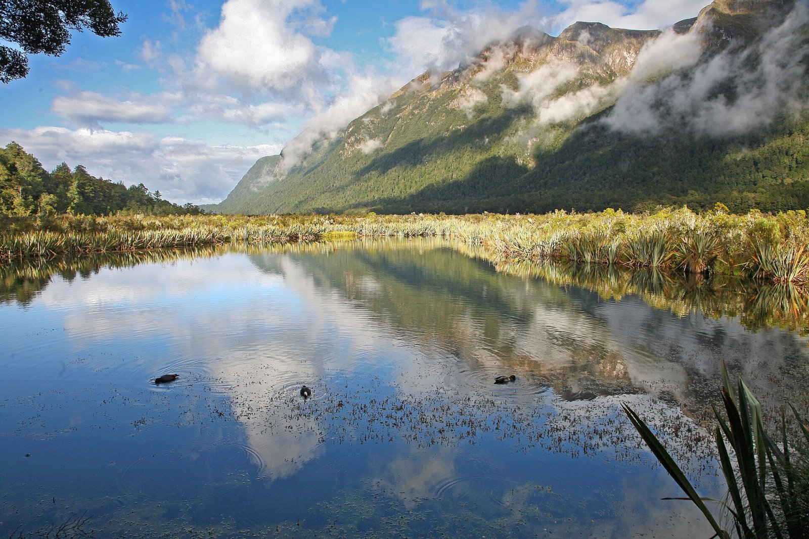 Lacs Miroirs : La Magie des Lacs Réfléchis de Nouvelle-Zélande - Mavora | Secret World Trip Planner