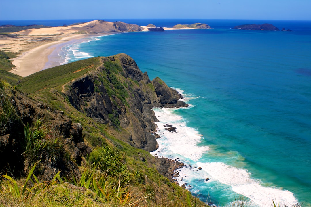 Cape Farewell: Wonders of New Zealand - Pūponga | Secret World Trip Planner