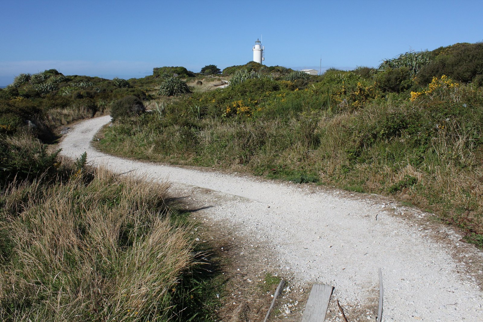 Cape Foulwind: Ein Juwel an der Westküste Neuseelands - Cape Foulwind | Secret World Trip Planner