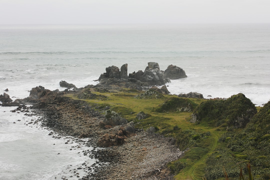 Cape Foulwind: Ein Juwel an der Westküste Neuseelands - Cape Foulwind | Secret World Trip Planner