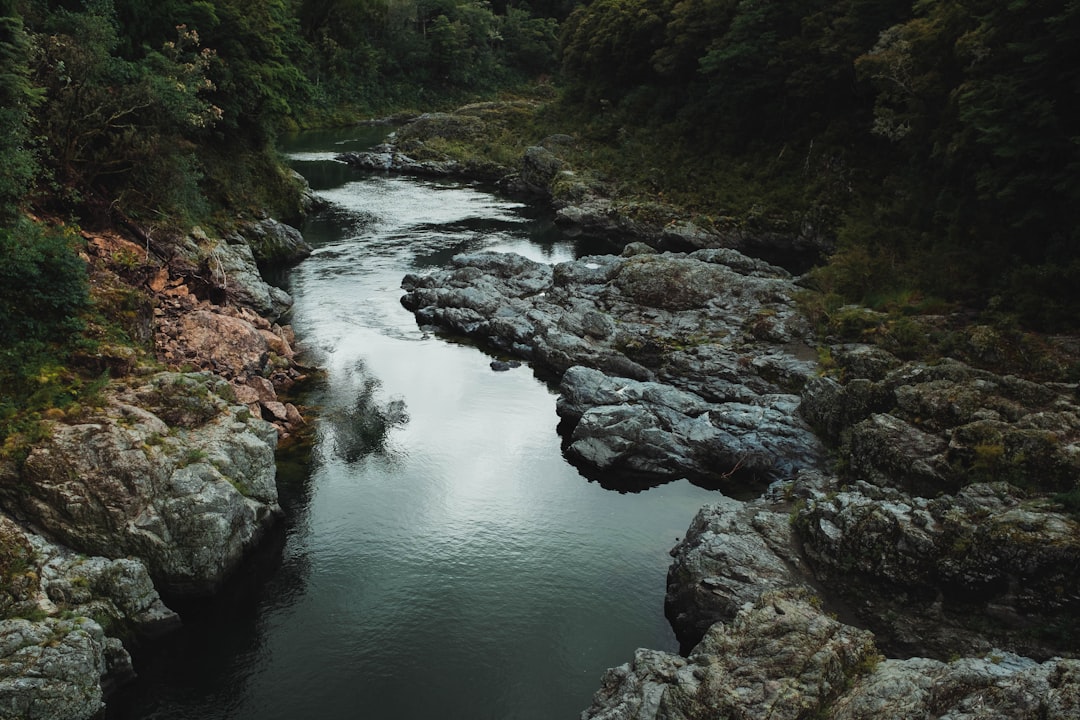 Entdecken Sie die Silica Rapids: ein Juwel Neuseelands - Waimarino | Secret World Trip Planner
