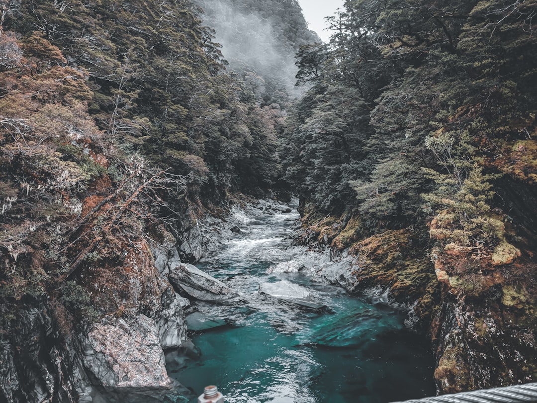 Entdecken Sie The Chasm: ein verstecktes Juwel Neuseelands - Milford Sound | Secret World Trip Planner