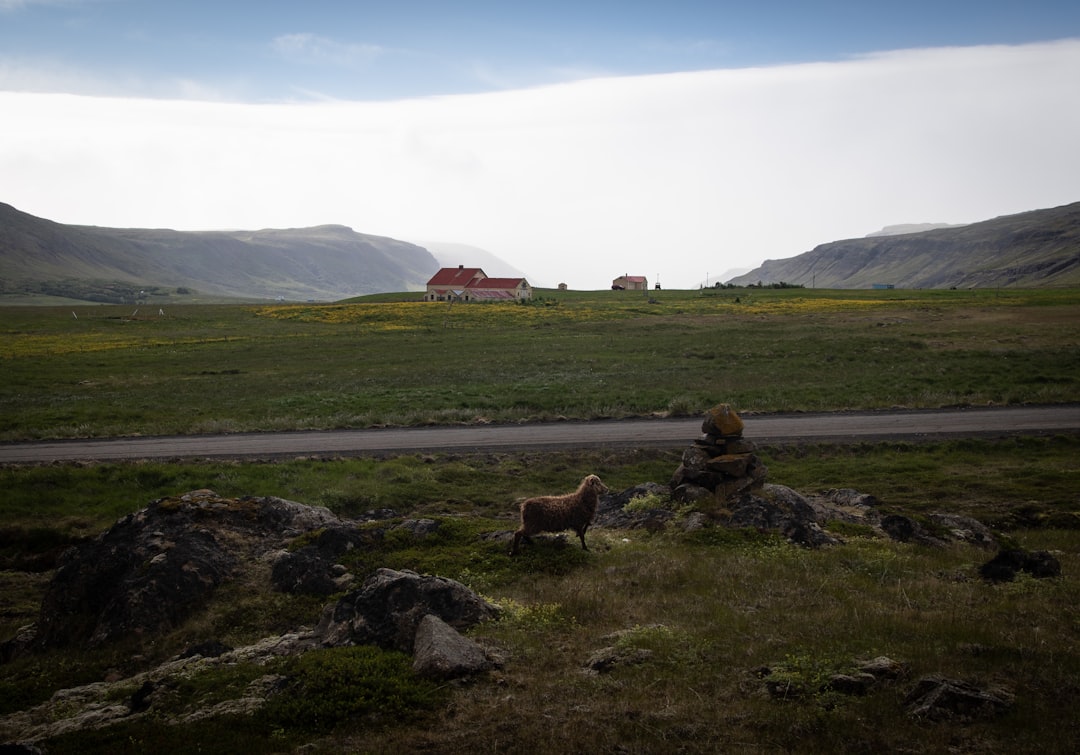 Découvrir Þorsteinn Erlingsson : le poète islandais de la nature et de la critique sociale - Reykjavík | Secret World Trip Planner