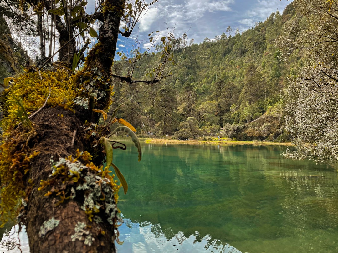 Discover Semuc Champey: A Natural Paradise in Guatemala - Chicanutz | Secret World Trip Planner