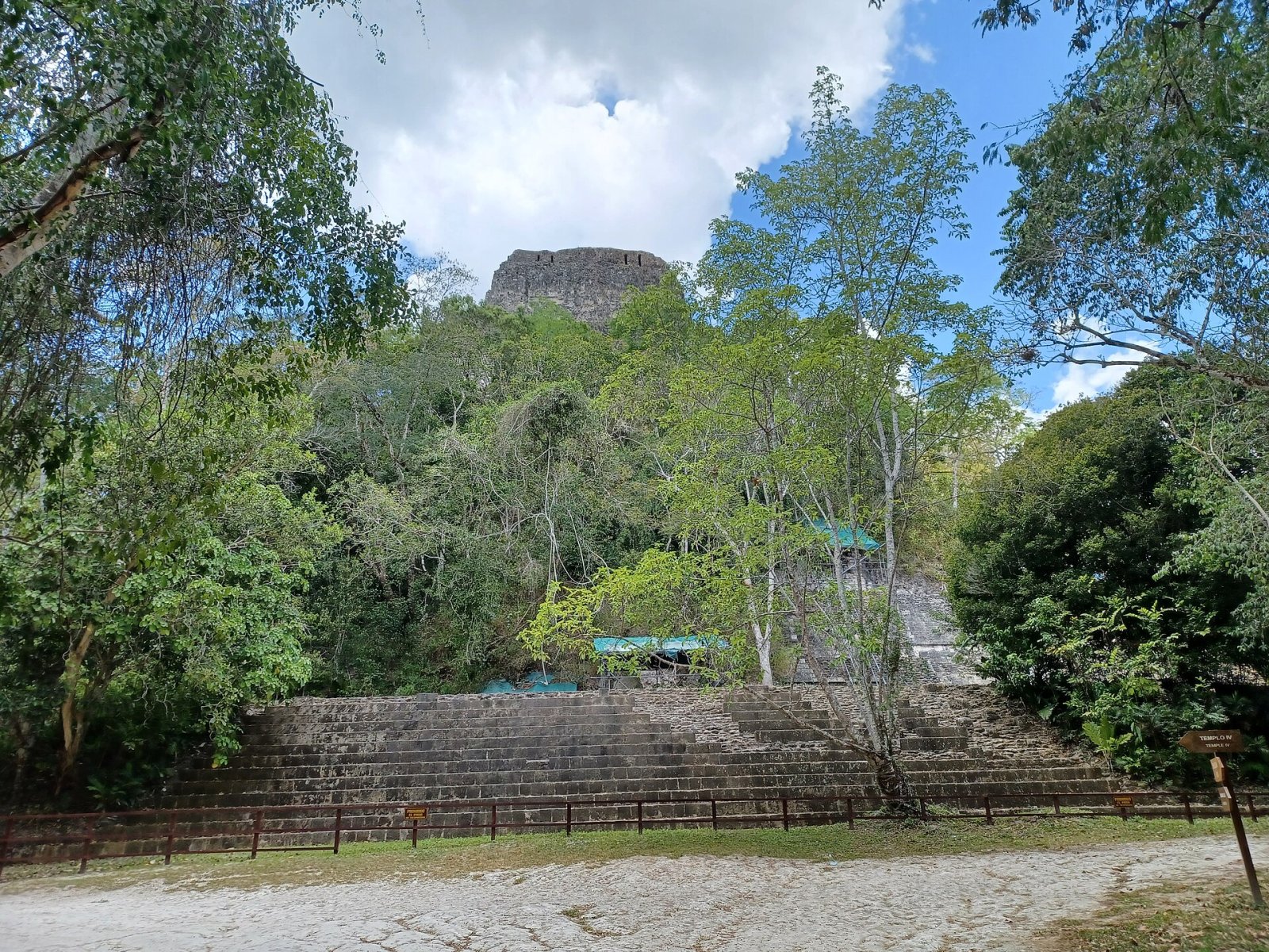 Discover Temple IV: A Jewel of Tikal in Guatemala — Tikal