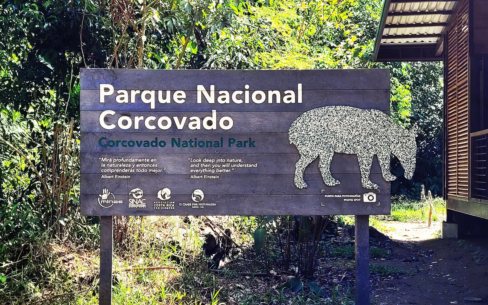Découvrez le Parc National Corcovado : un bijou de biodiversité - Puerto Jiménez | Secret World Trip Planner