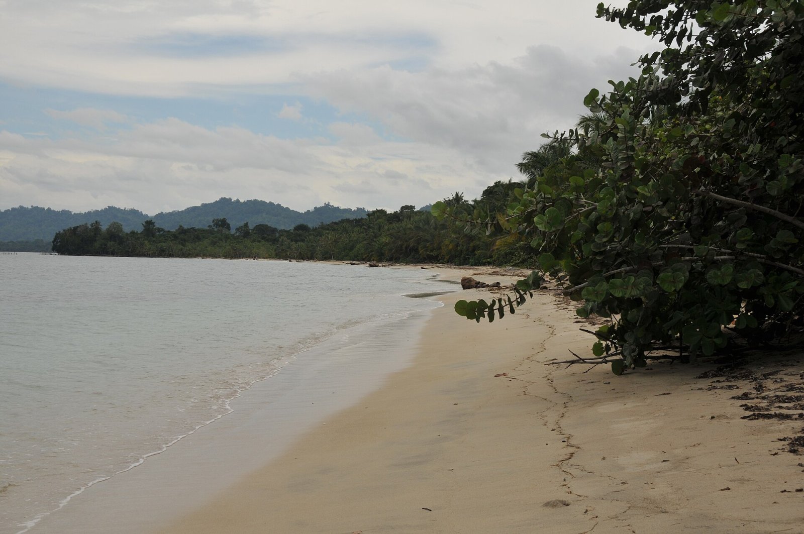 Scopri Punta Uva: Un Paradiso Tropicale in Costa Rica — Punta Uva