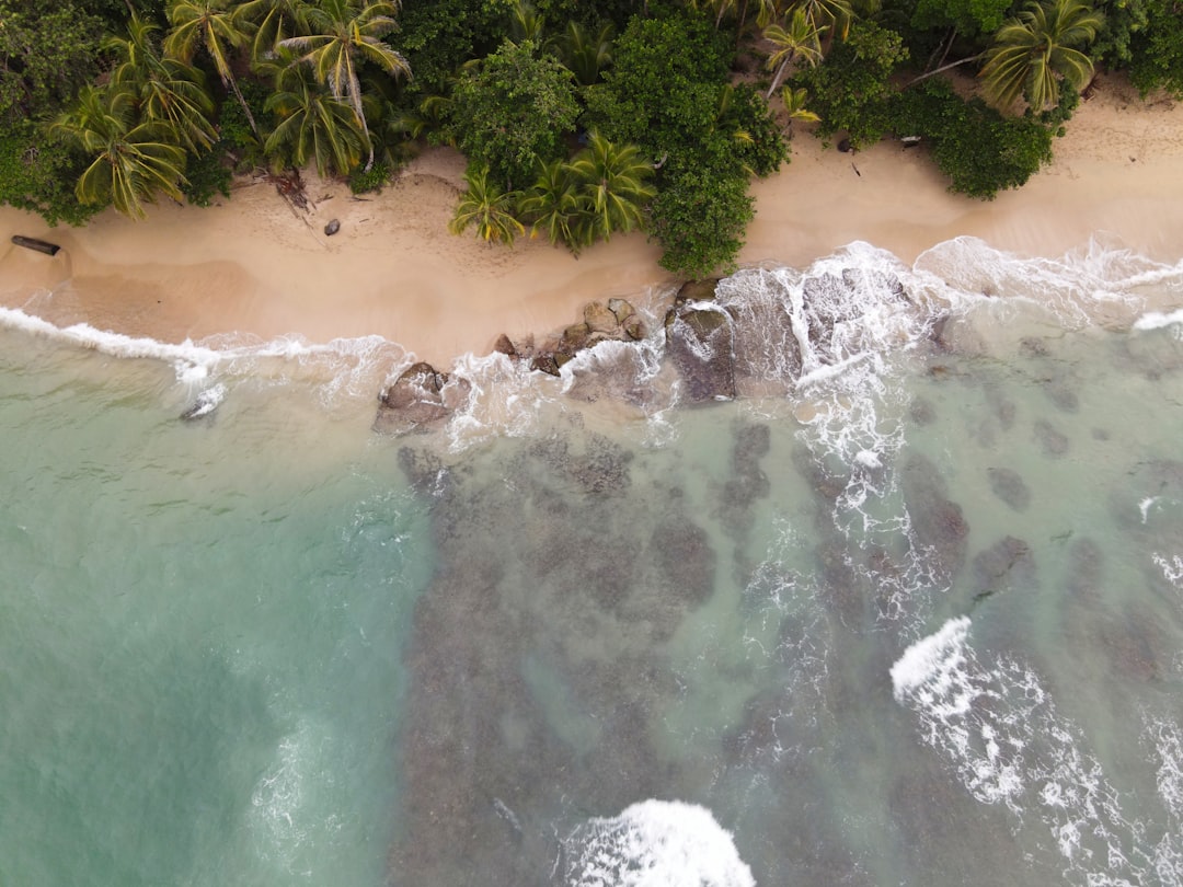 Entdecken Sie Punta Uva: Ein Tropenparadies in Costa Rica - Punta Uva | Secret World Trip Planner