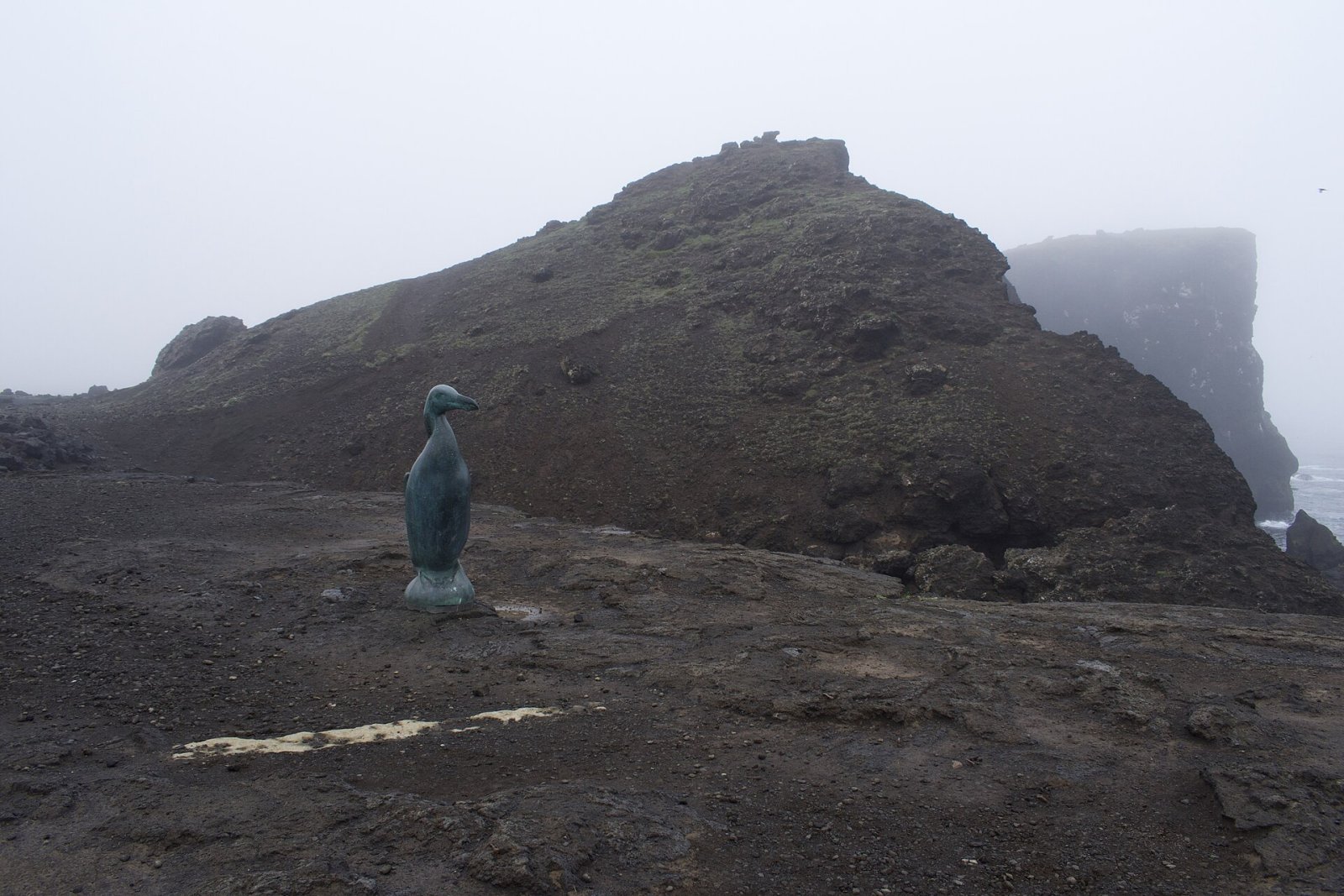 Scopri la storia del Great Auk in Islanda - Reykjavík | Secret World Trip Planner