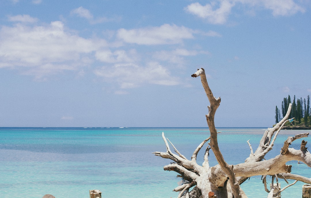 Lifou : l'île corallienne aux eaux cristallines - Lifou | Secret World Trip Planner