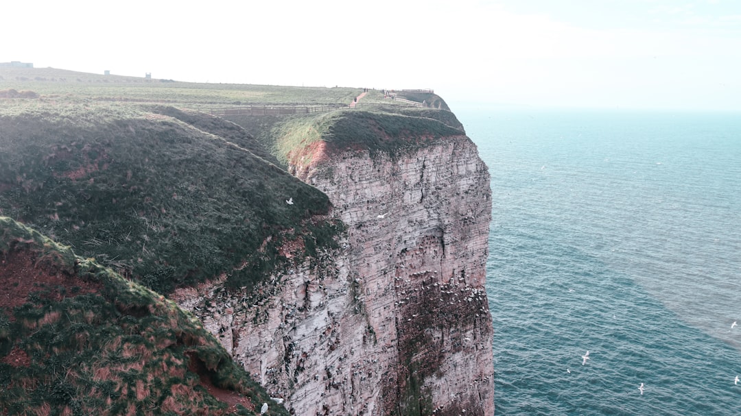 Falaises enflammées : les roches rouges du Gobi - 4PRC+X6G | Secret World Trip Planner