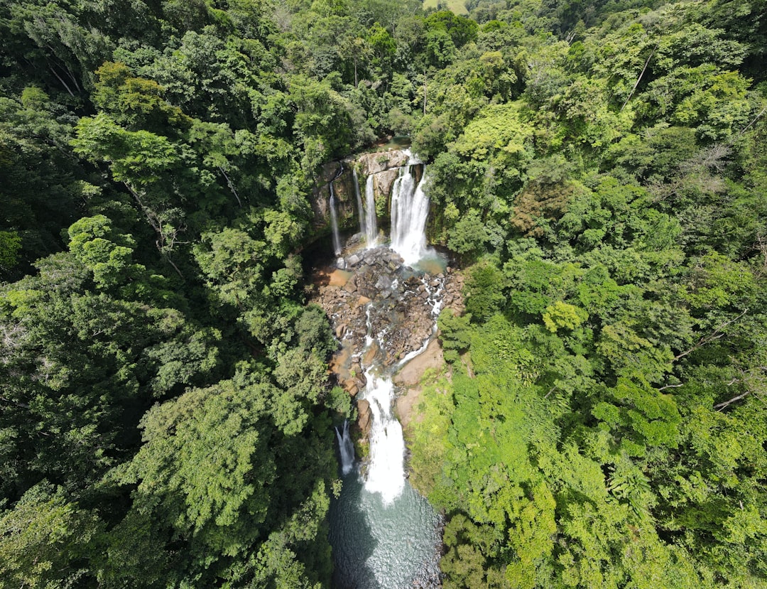 Nauyaca Waterfalls: Double Drop in Costa Rican Forest - Pérez Zeledón | Secret World Trip Planner