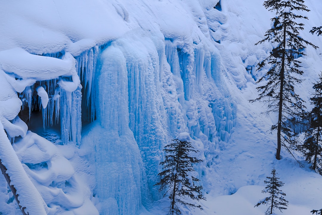 Johnston Canyon: Waterfalls and Canyons in the Rockies - Improvement District No. 9 | Secret World Trip Planner