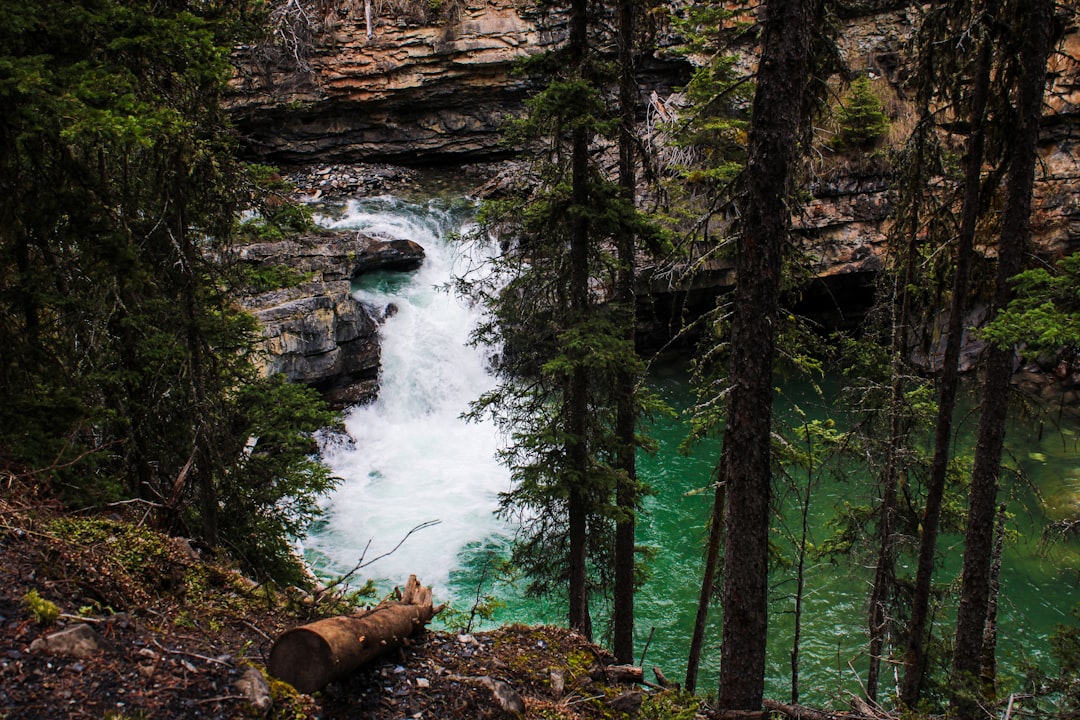 Canyon Johnston : cascades et canyon dans les Rocheuses - Improvement District No. 9 | Secret World Trip Planner