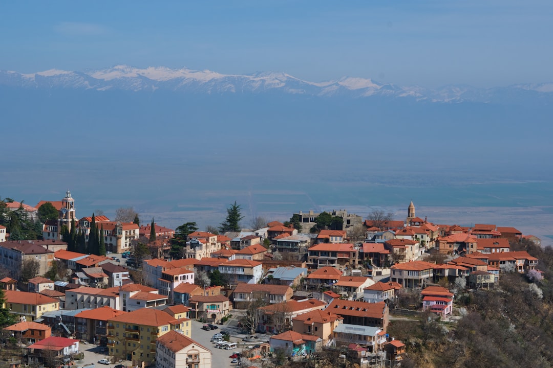 Sighnaghi: Panoramablicke auf Kakhetis Stadtmauern - 9 Lolashvili St | Secret World Trip Planner