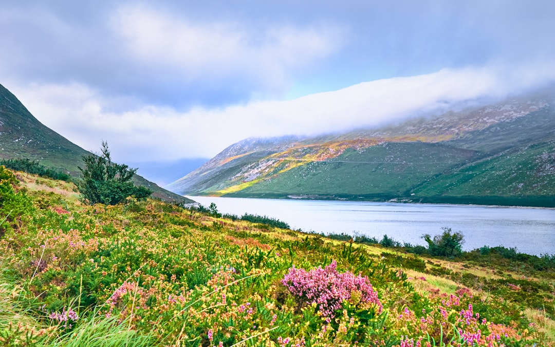 Valley of Flowers a Yumthang: fiori ad alta quota - Yumthang | Secret World Trip Planner