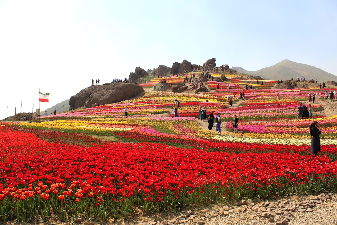 Valley of Flowers a Yumthang: fiori ad alta quota - Yumthang | Secret World Trip Planner
