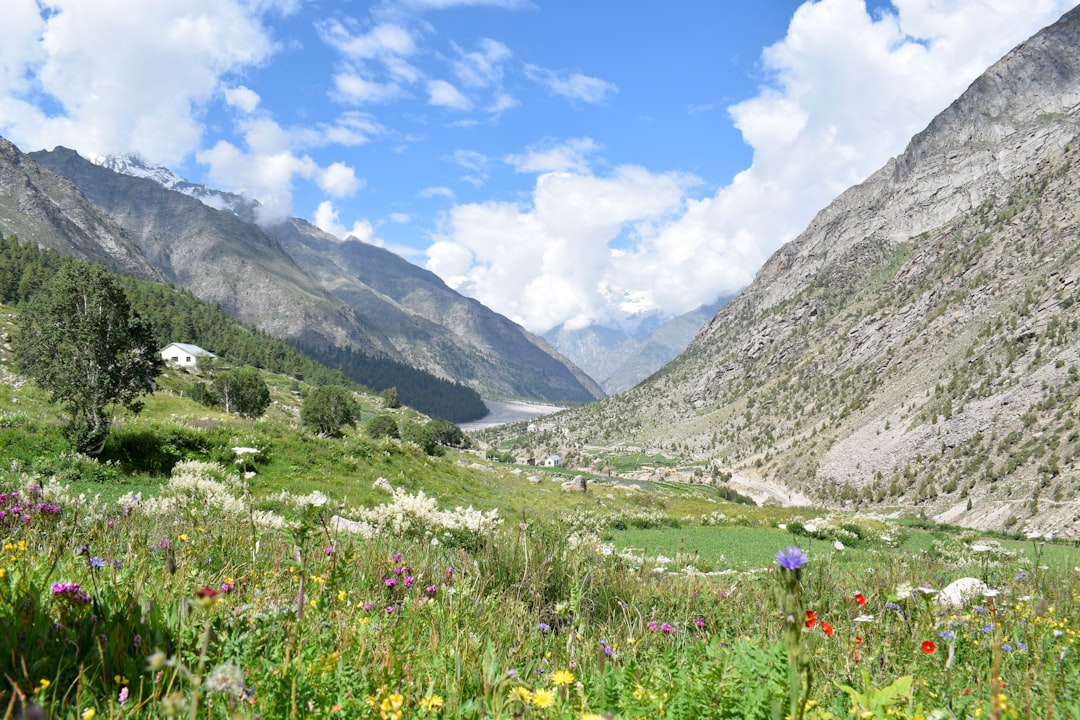 Valley of Flowers a Yumthang: fiori ad alta quota - Yumthang | Secret World Trip Planner