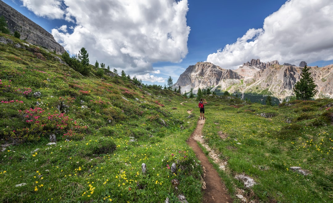 Vallée des Fleurs à Yumthang : fleurs en altitude - Yumthang | Secret World Trip Planner