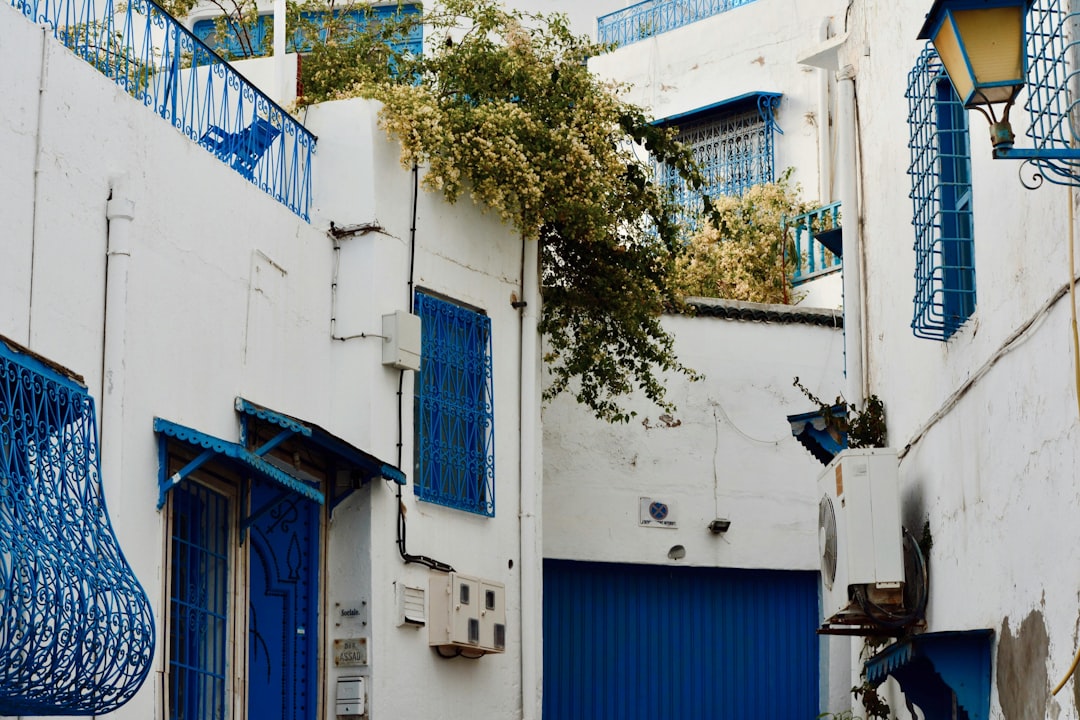 The Souks of Tunis: Scents and Colors in the Medina - Q5WC+J77 | Secret World Trip Planner
