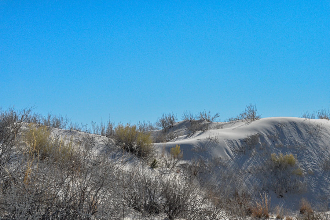 Désert Blanc : chemins dans les roches blanches de Farafra - Al Wadi Al Gadid Desert | Secret World Trip Planner