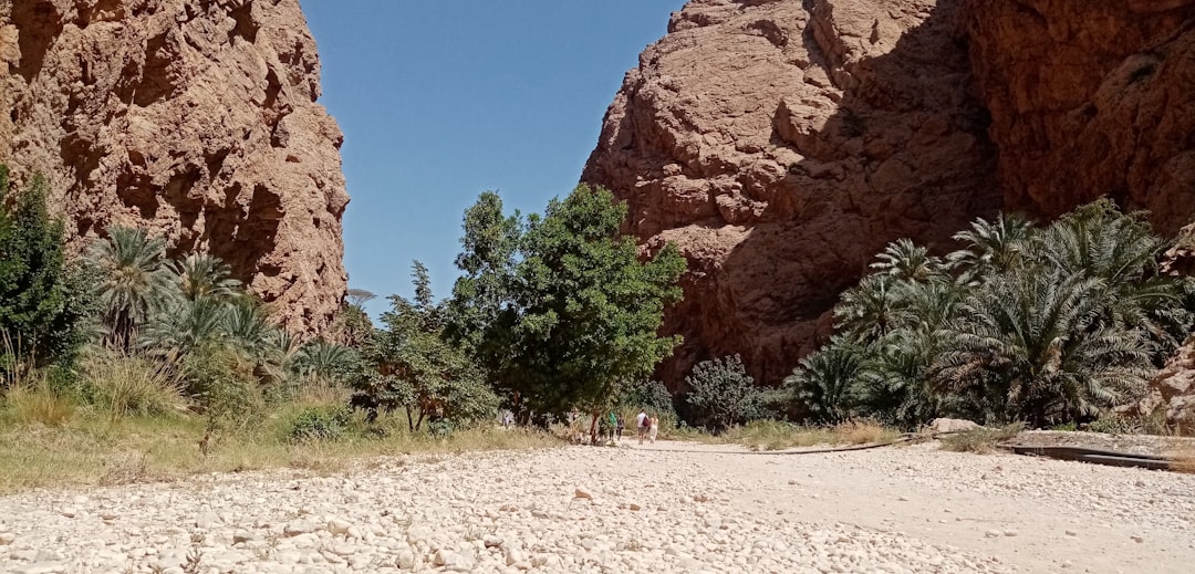 Wahiba Sands : randonnée dans les dunes d'Oman - Al Ghubrah Ash Shamaliyyah | Secret World Trip Planner