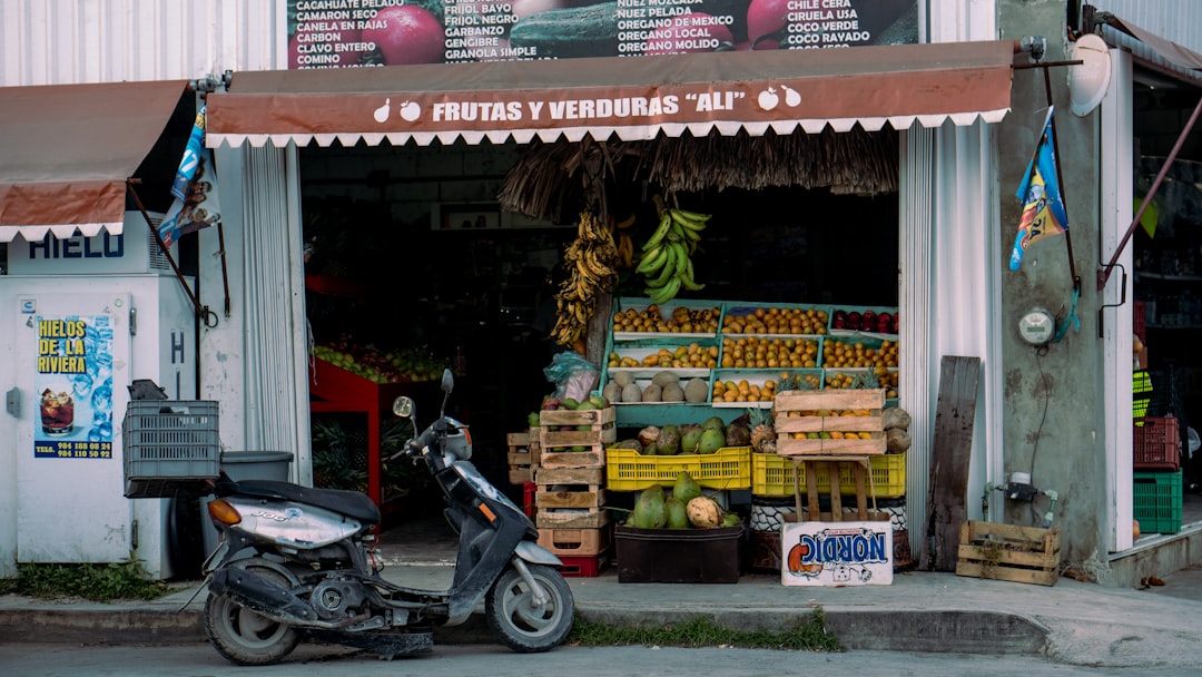 Cuatro Caminos: Der historische Markt von Havanna — Ave de México Cristina