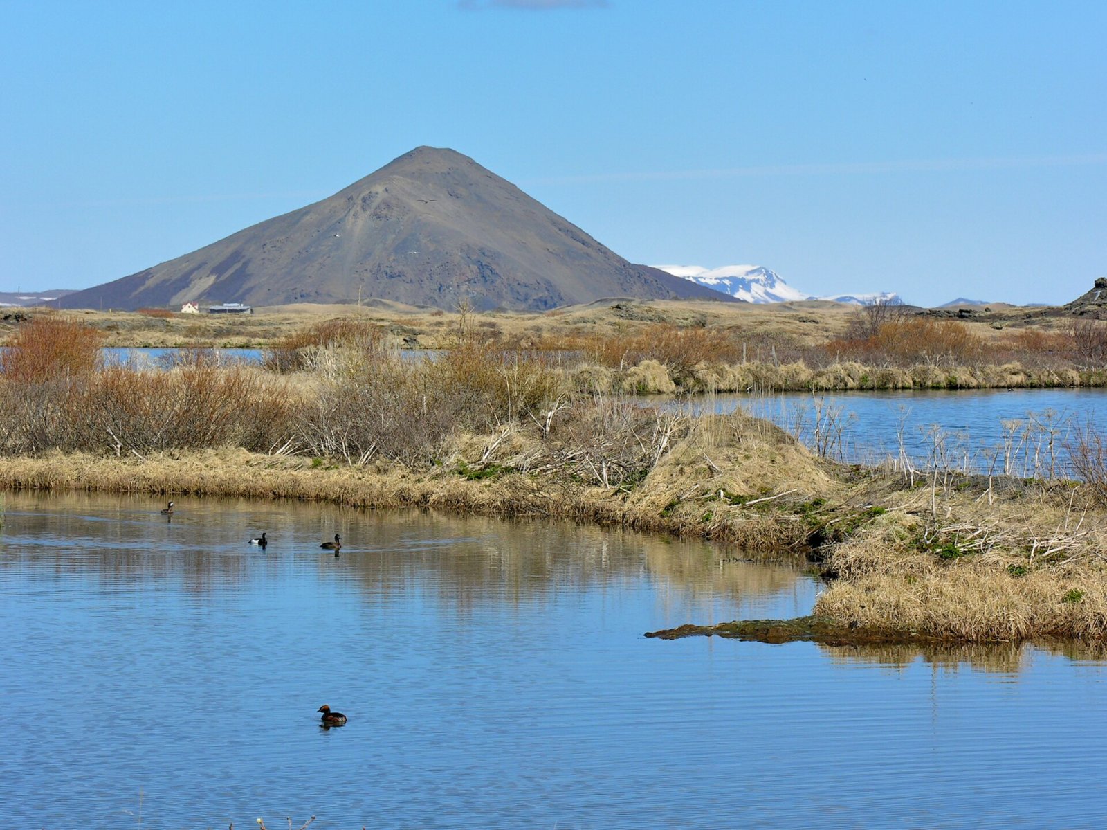 Scopri il fascino di Vindbelgjarfjall in Islanda - Skútustaðir | Secret World Trip Planner