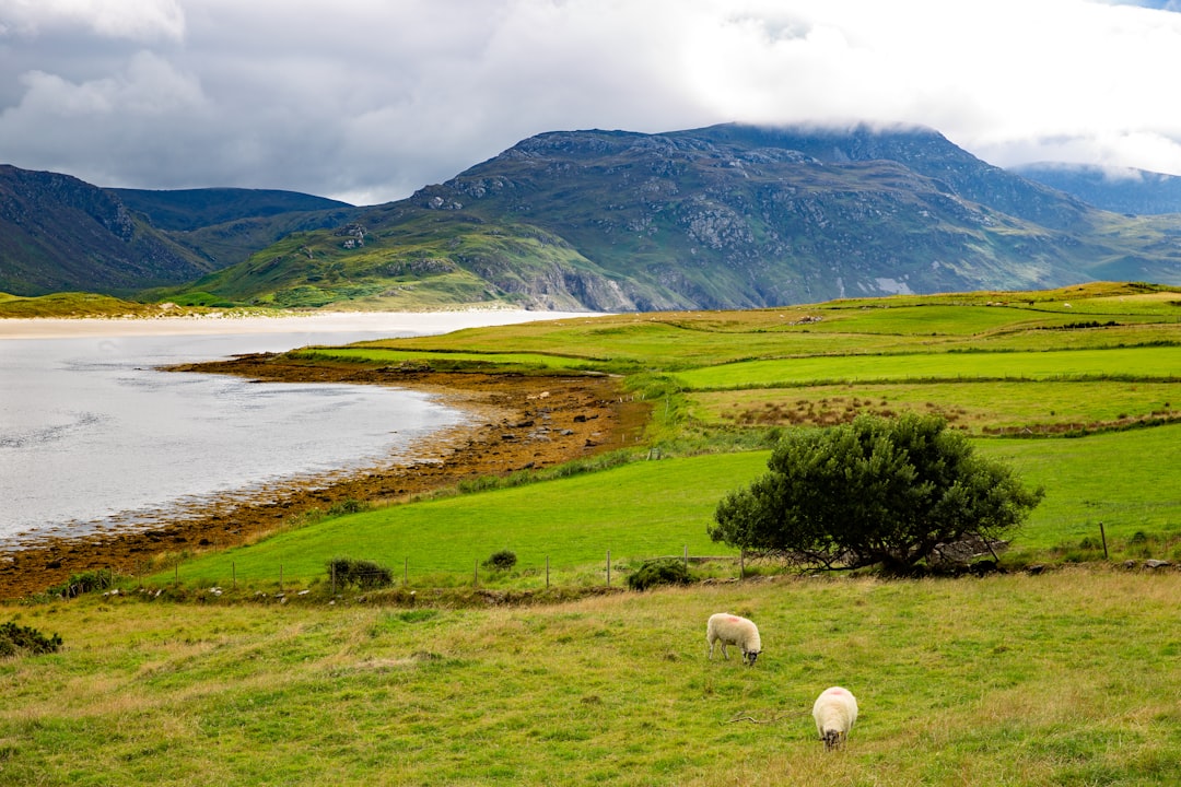 Exploration de Beenkeragh : La Montagne des Moutons en Irlande - Killarney Road | Secret World Trip Planner