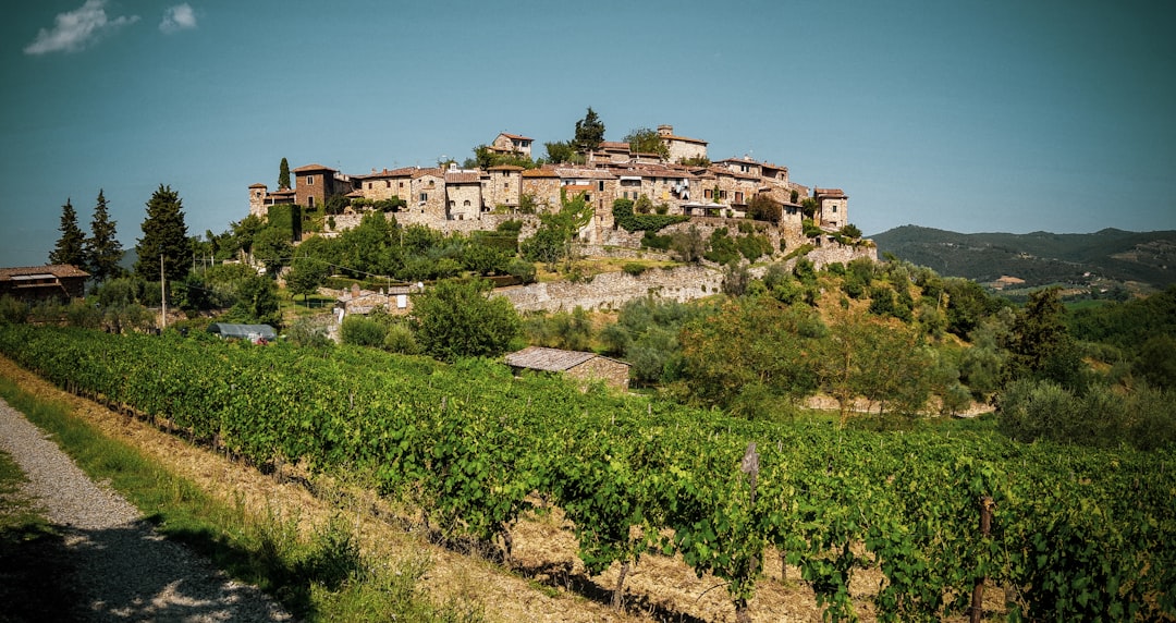 Chianti Classico a Greve: vini e terroir toscano - 18 | Secret World Trip Planner