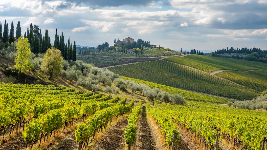 Chianti Classico em Greve: vinhos e terroir toscano - 18 | Secret World Trip Planner