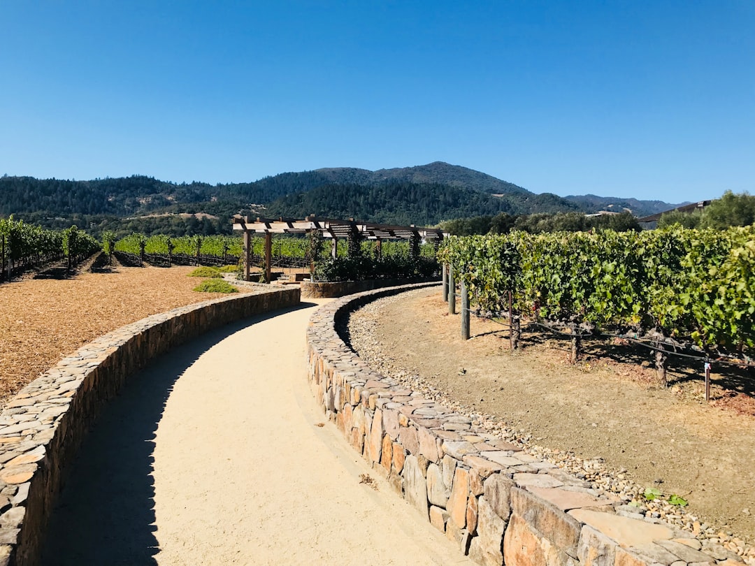 Napa Valley Wine Train: vino e paesaggi su rotaia — Napa