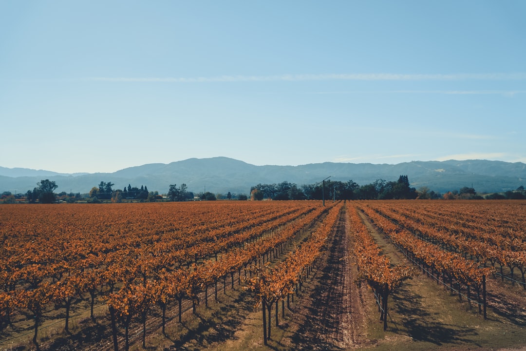 Napa Valley Wine Train: vino e paesaggi su rotaia - Napa | Secret World Trip Planner