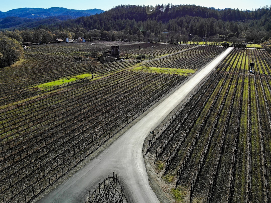 Napa Valley Wine Train: Scenic Wine Journey by Rail - Napa | Secret World Trip Planner