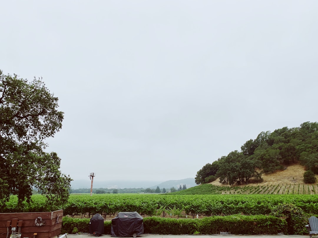 Napa Valley Weinzug: Wein und Landschaften auf Schienen - Napa | Secret World Trip Planner