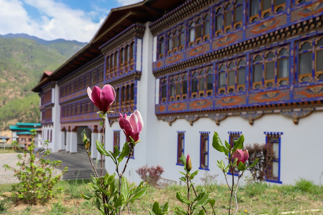 Vins d'altitude à Shangri-La : vignobles et Himalaya - Diqing Tibetan Autonomous Prefecture | Secret World Trip Planner