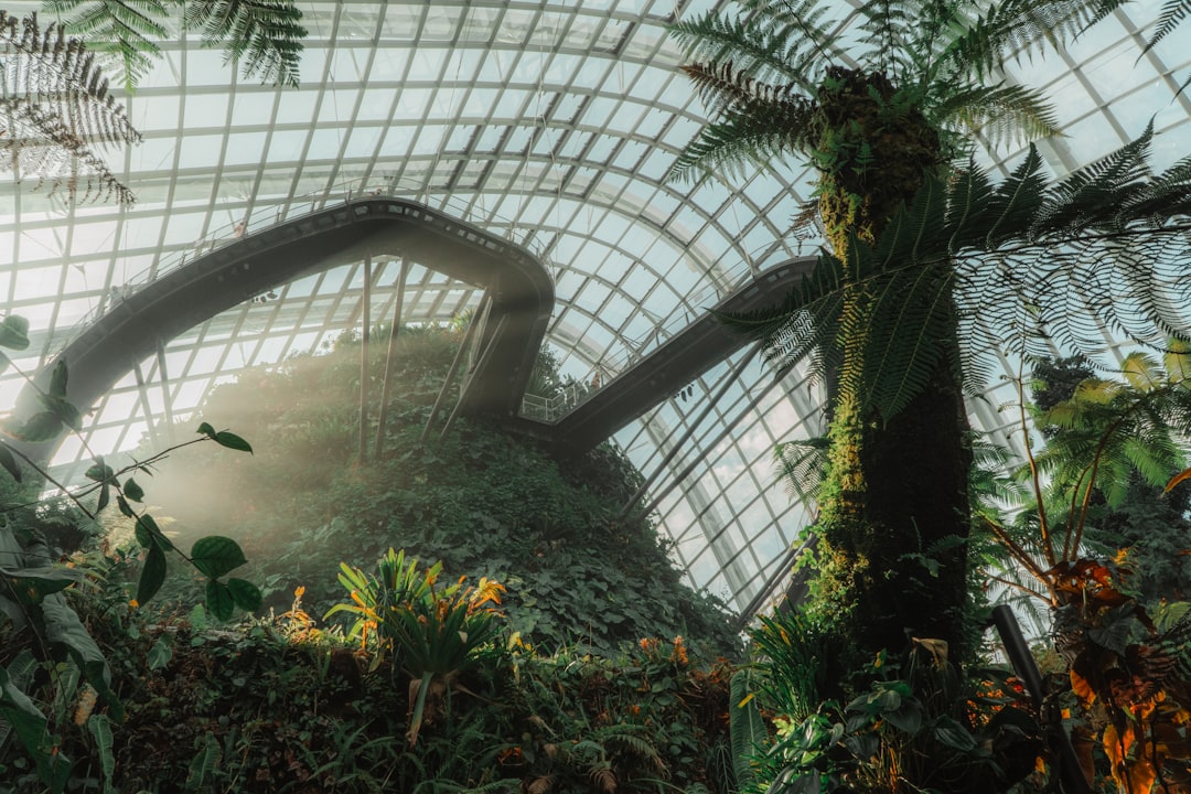 Cloud Forest Singapore: arte e natura a 35 metri d'altezza - 18 Marina Gardens Dr | Secret World Trip Planner