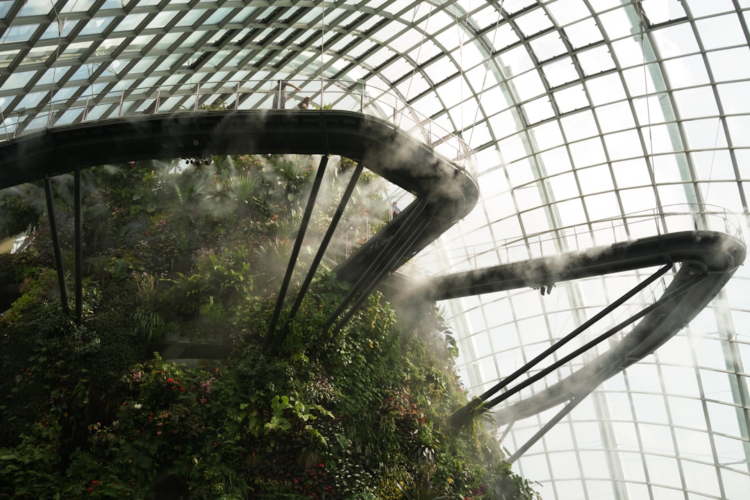 Cloud Forest Singapore: arte e natura a 35 metri d'altezza - 18 Marina Gardens Dr | Secret World Trip Planner