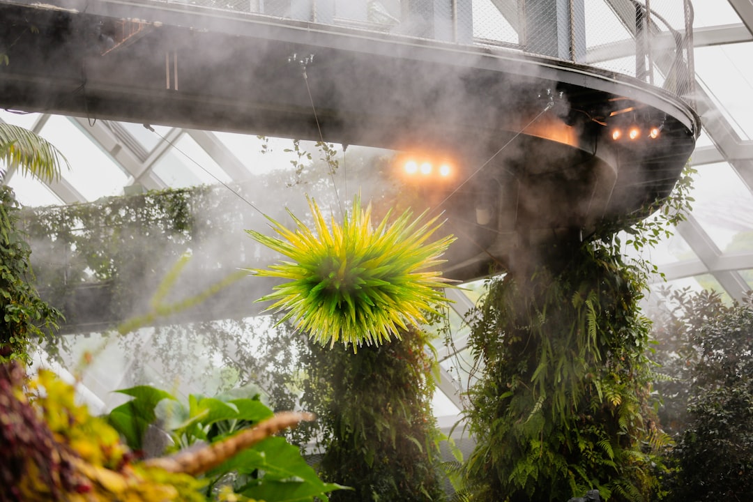 Cloud Forest Singapore: arte e natura a 35 metri d'altezza - 18 Marina Gardens Dr | Secret World Trip Planner