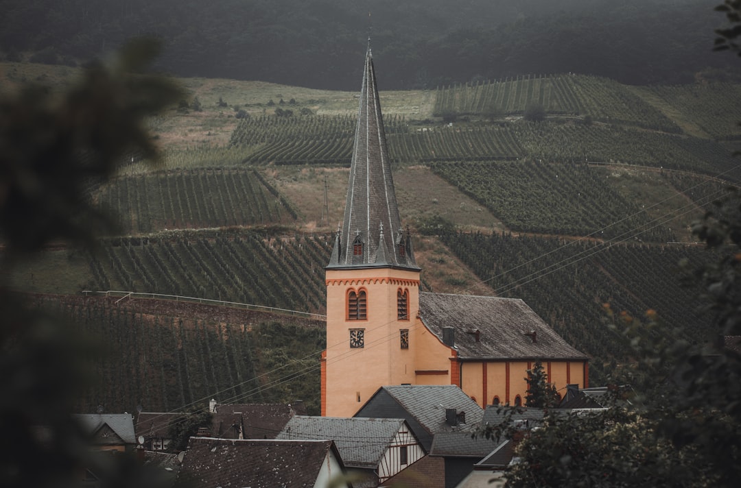 Moselle Wine Museum in Bernkastel-Kues - Cusanusstraße 2 | Secret World Trip Planner