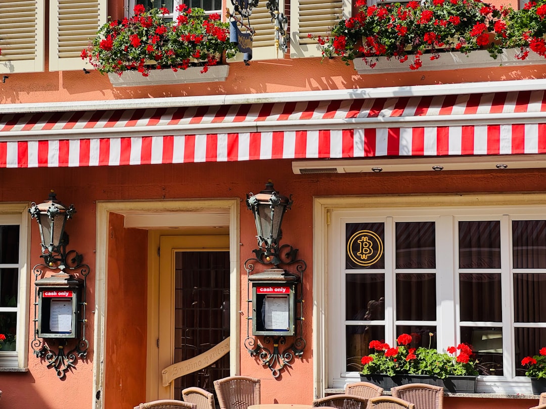 Moselle Wine Museum in Bernkastel-Kues - Cusanusstraße 2 | Secret World Trip Planner