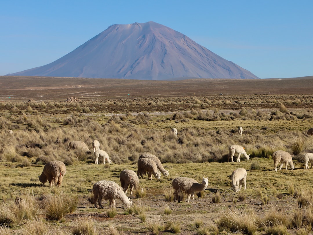 Esplorando Jatunpauca: Un Paradiso Naturale in Perù — Tanta