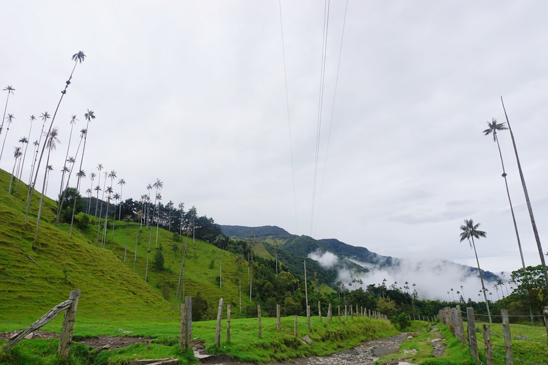 Scopri Alto Miraflores: un angolo di natura in Colombia | Secret World Trip Planner