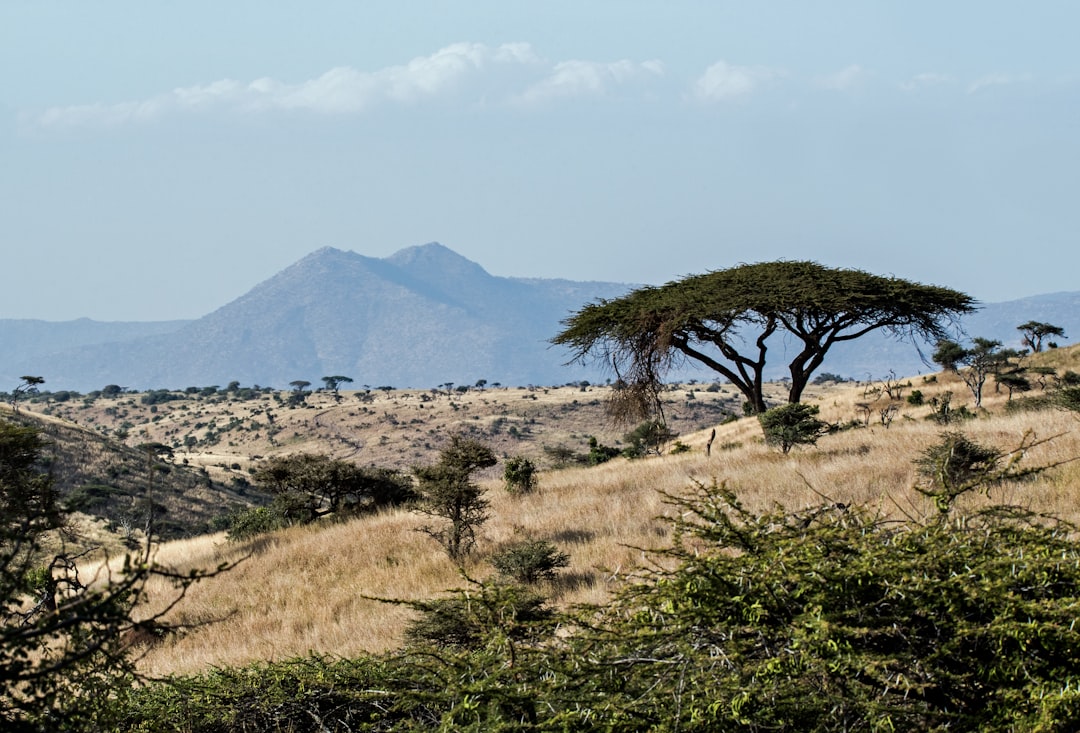 Discover the Magic of Mount Kulal in Kenya — Gatab