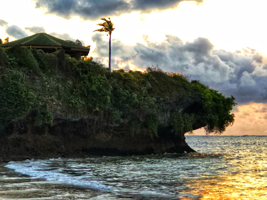 Esplora la Batcave: un viaggio nella natura del Kenya - Kakamega | Secret World Trip Planner