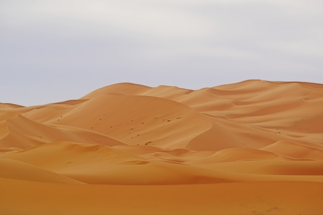 Merzouga und die Dünen des Erg Chebbi: echtes Sahara-Erlebnis - Merzouga 52202 | Secret World Trip Planner