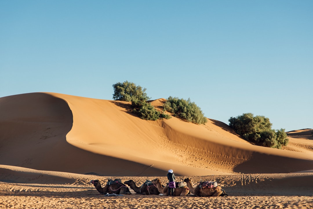 Merzouga und die Dünen des Erg Chebbi: echtes Sahara-Erlebnis - Merzouga 52202 | Secret World Trip Planner