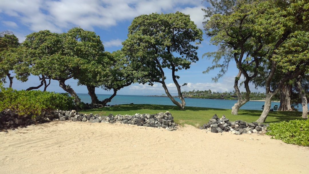 Maunakea: osservare le stelle a 2.800 metri alle Hawaii - Hilo | Secret World Trip Planner