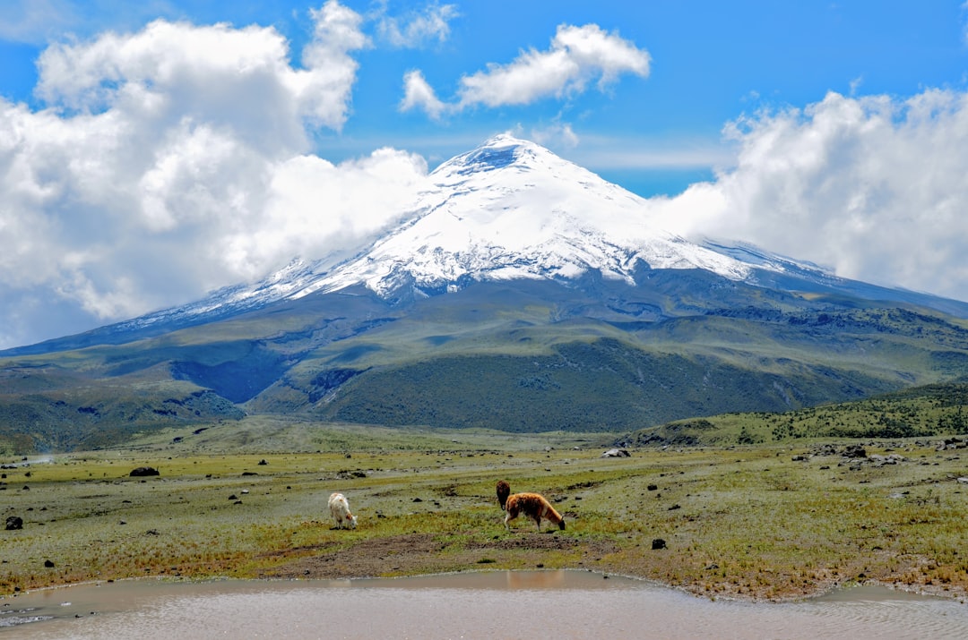 Cotopaxi : gravir le plus haut volcan actif de l'Équateur - Cotopaxi | Secret World Trip Planner